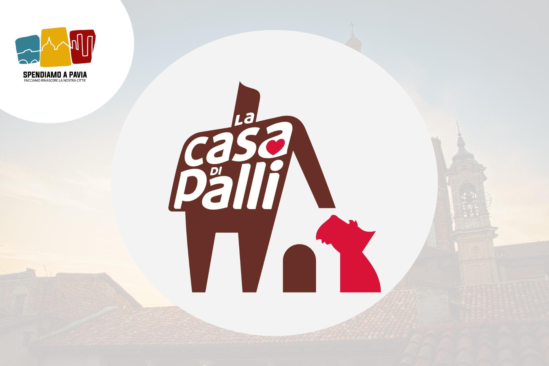 Banner_casa_di_palli.png