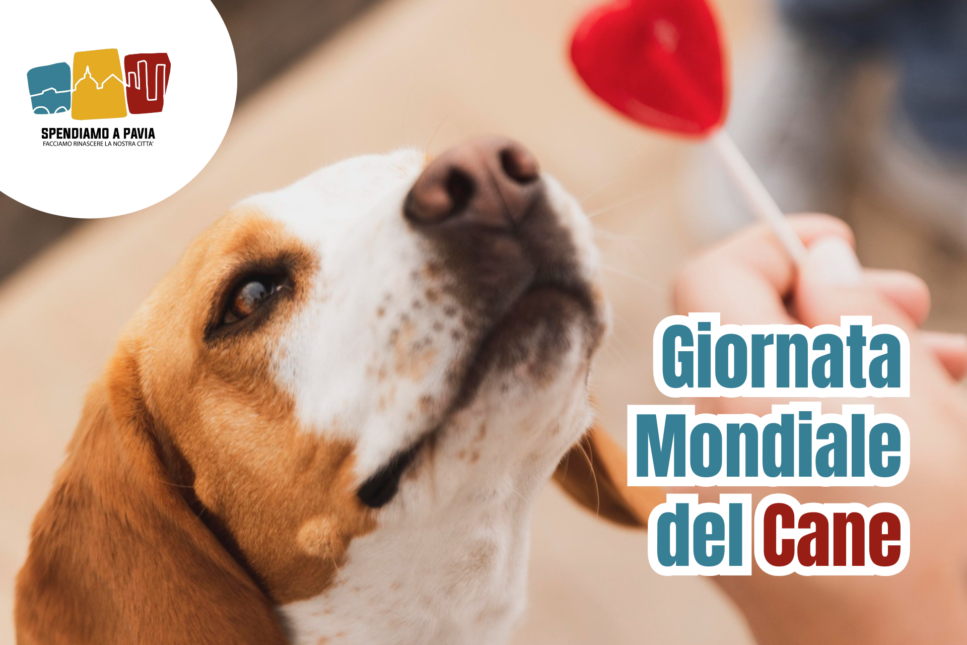 Banner_giornata_mondiale_del_cane.png