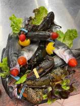 815da5bf-24f3-4820-9ef6-99c03937cf18_original