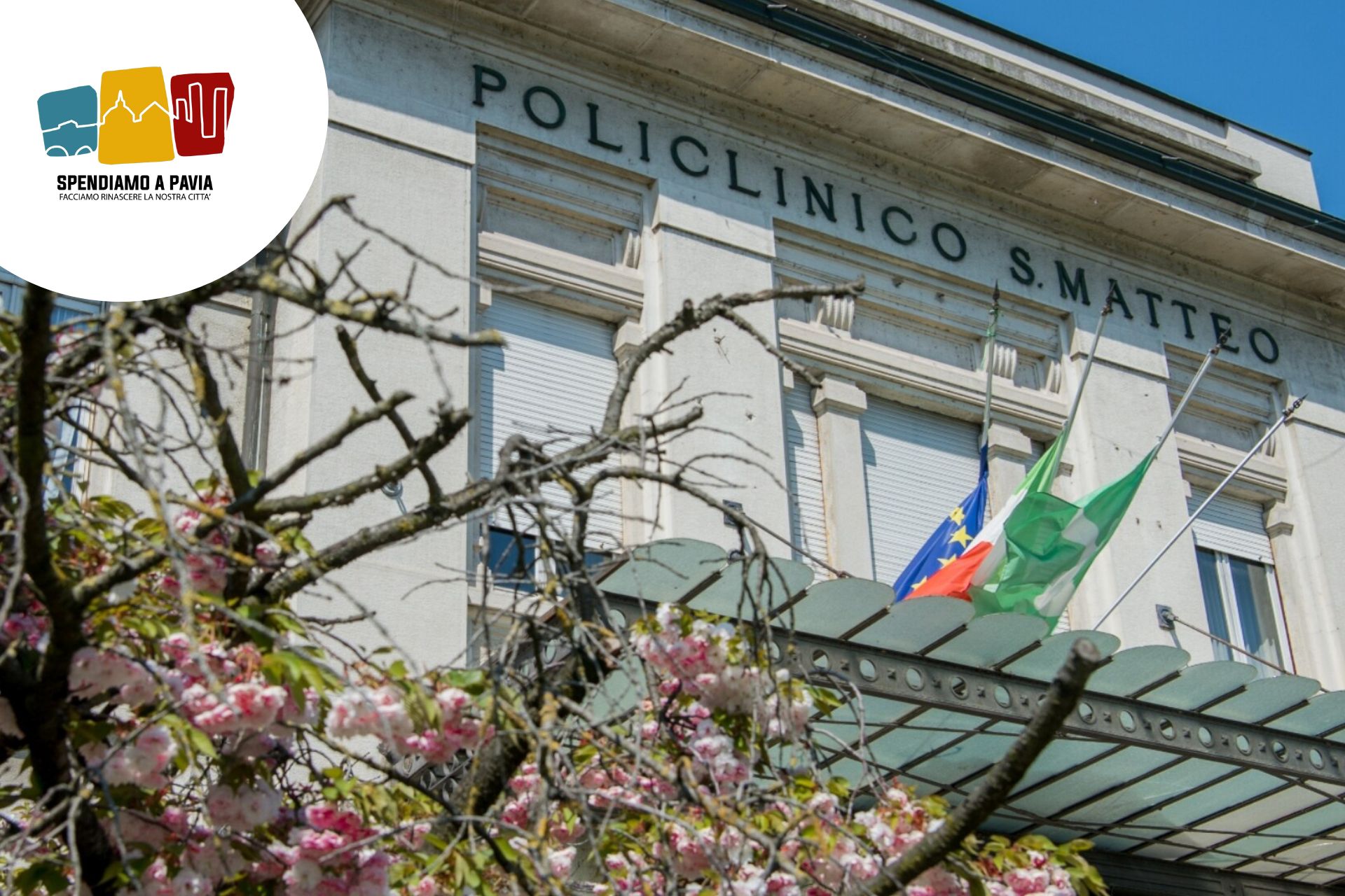 Giornata Mondiale del Rene: screening gratuiti a Pavia il 13 marzo