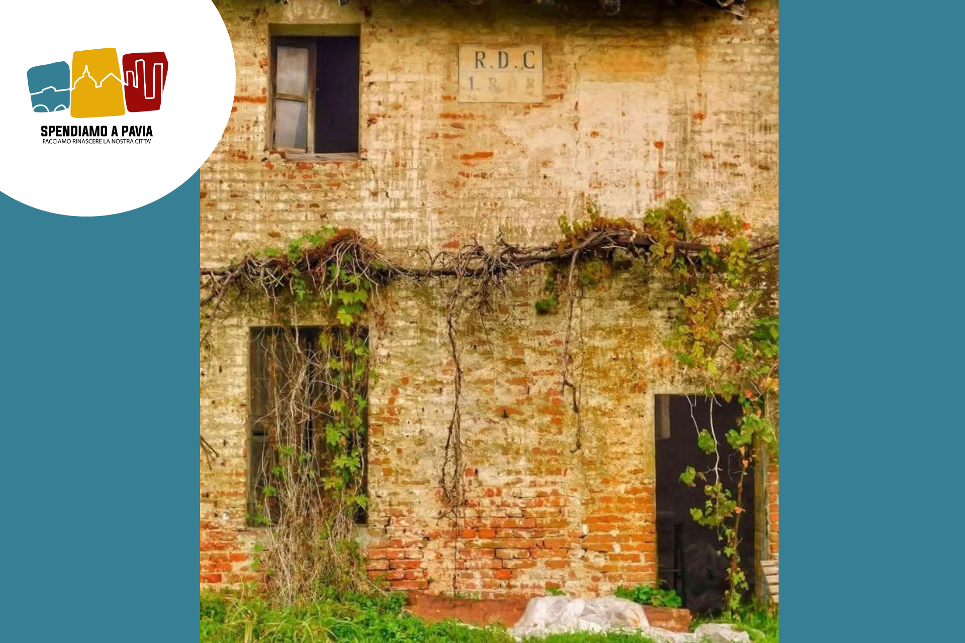 "Cosa ne sanno oggi dei profumi perduti della campagna pavese?"