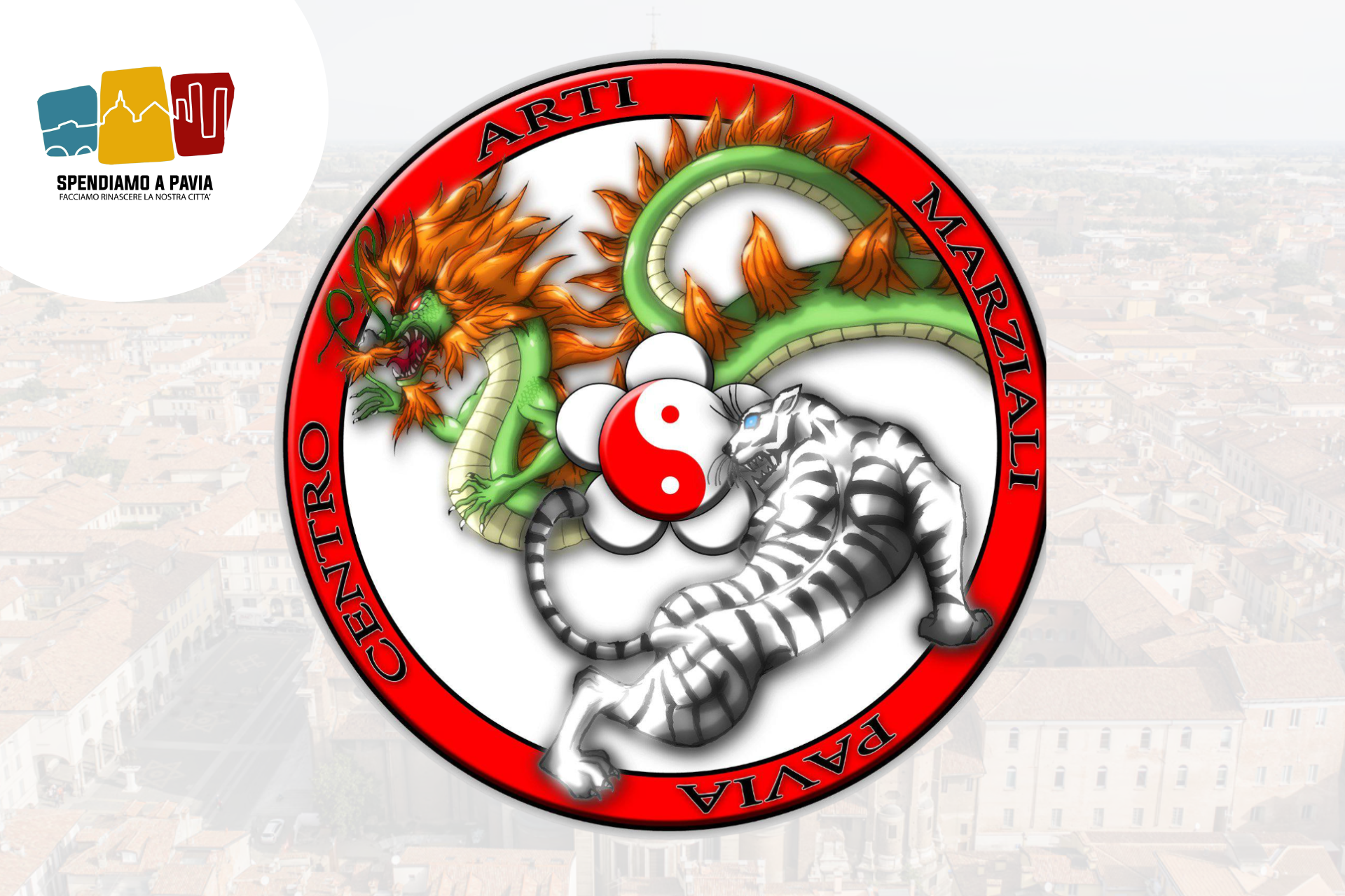 L’ASD Centro Arti Marziali sul tetto d’Europa: medaglie e riconoscimenti per Sanda, Taekwondo e Pugilato