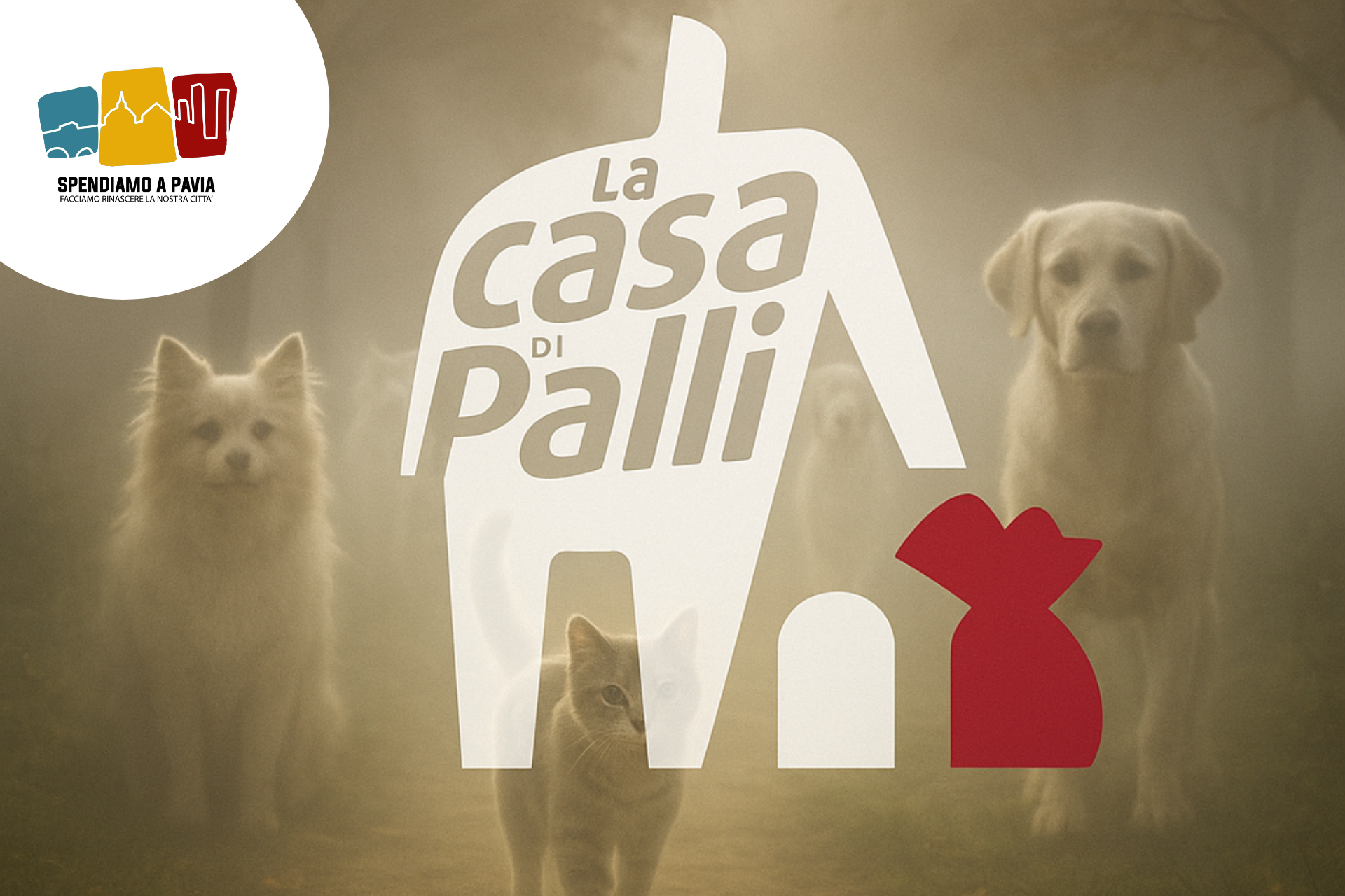 La Casa di Palli cremazioni animali celebra il 27 ottobre, giornata del ricordo degli animali amati