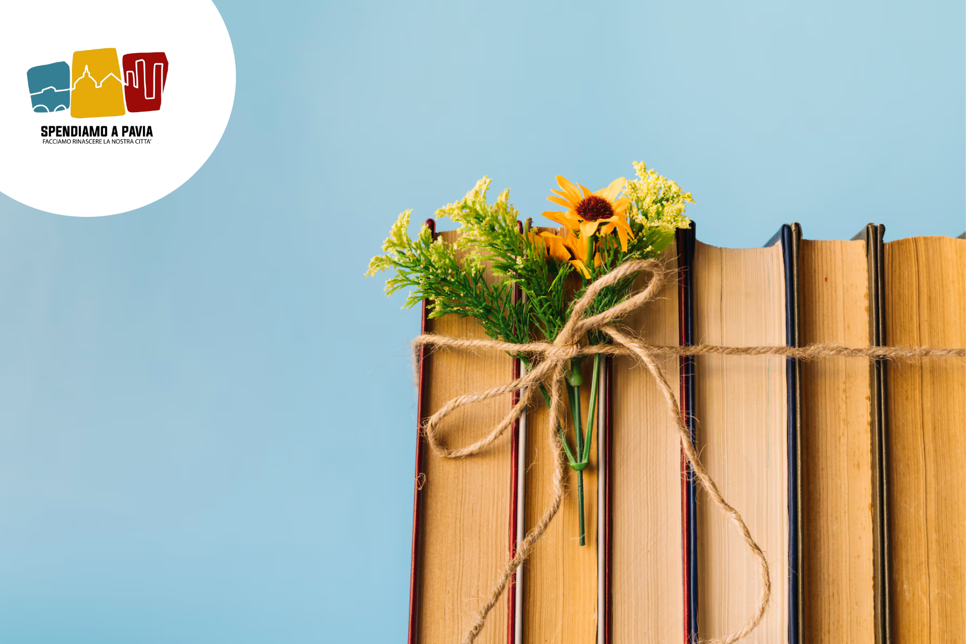 Pavia, torna l'esposizione esterna per fioristi, librai e fruttivendoli: via libera dal Comune