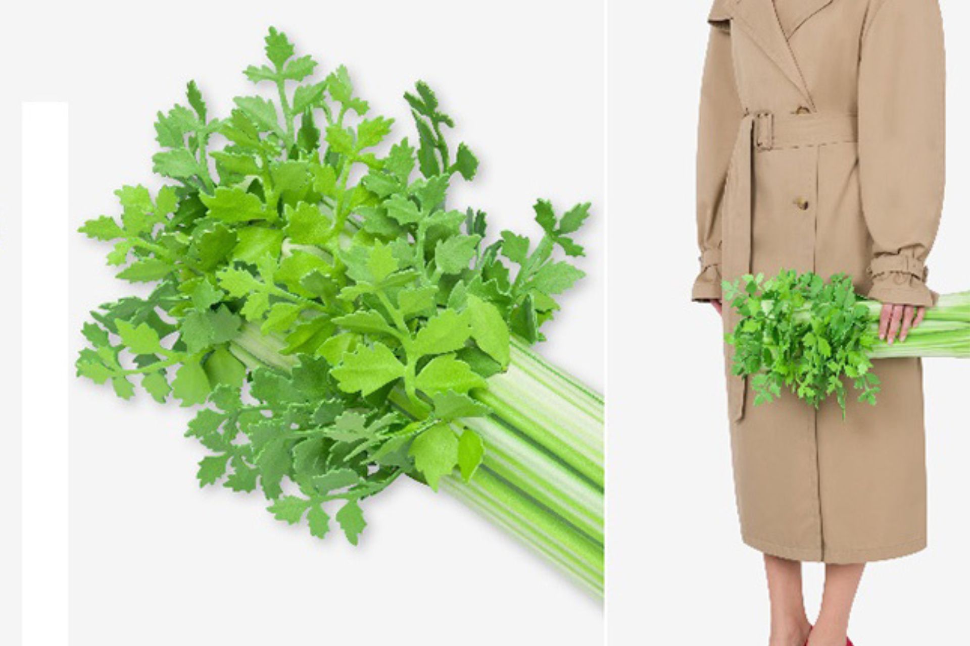 La borsa di Moschino a forma di sedano sfida le convenzioni della moda e diventa un fenomeno