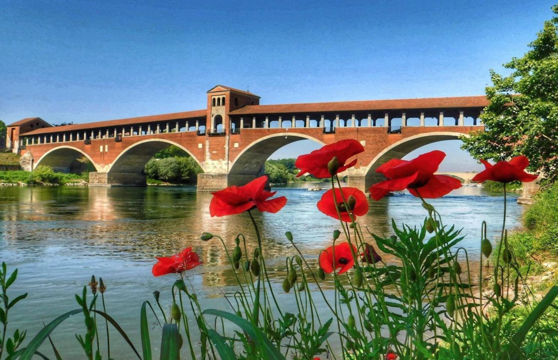 Pavia, Lombardy's hidden gem