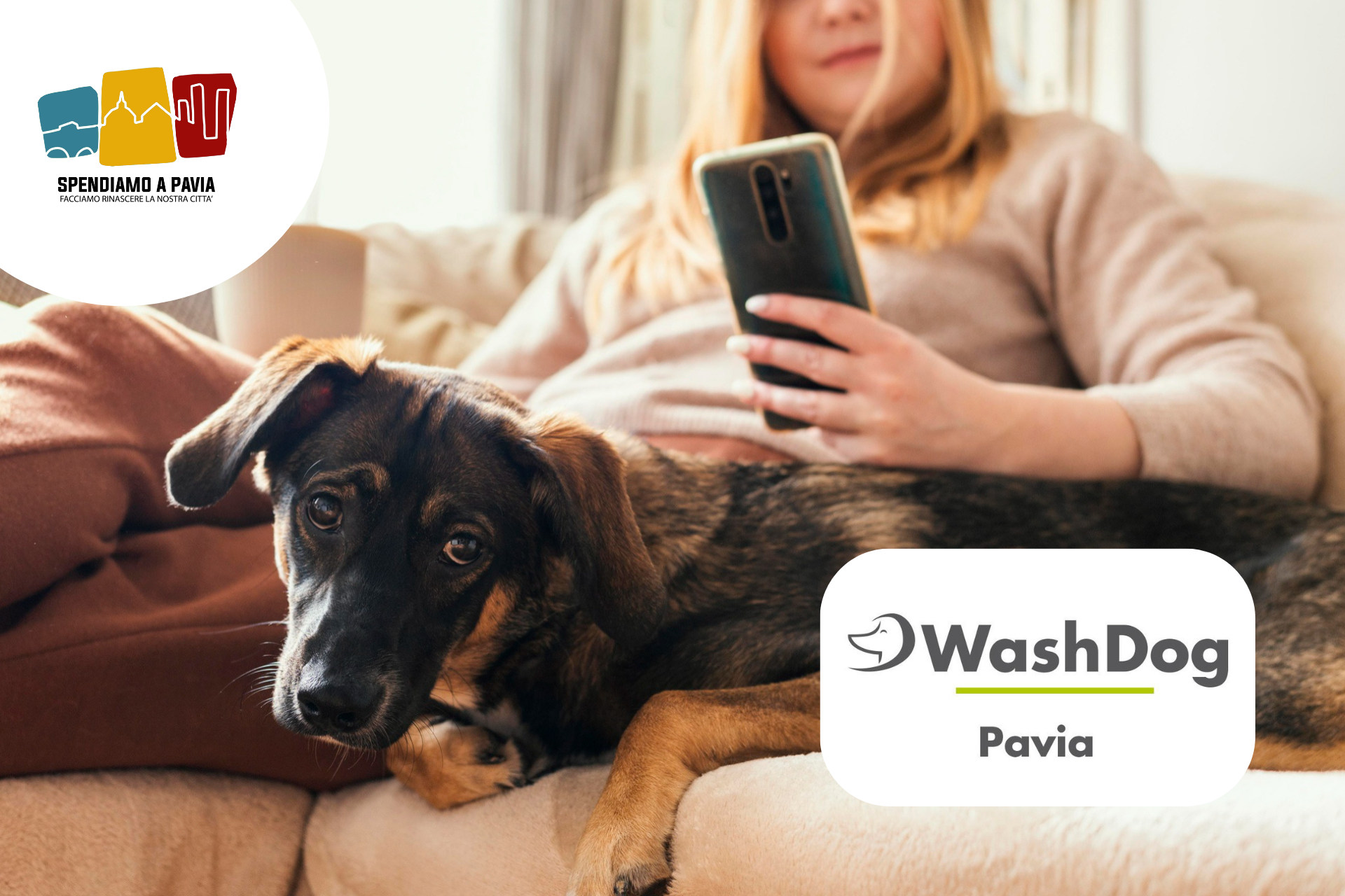 Special Video: Wash Dog Pavia rivoluziona la cura dei cani con la prenotazione tramite app