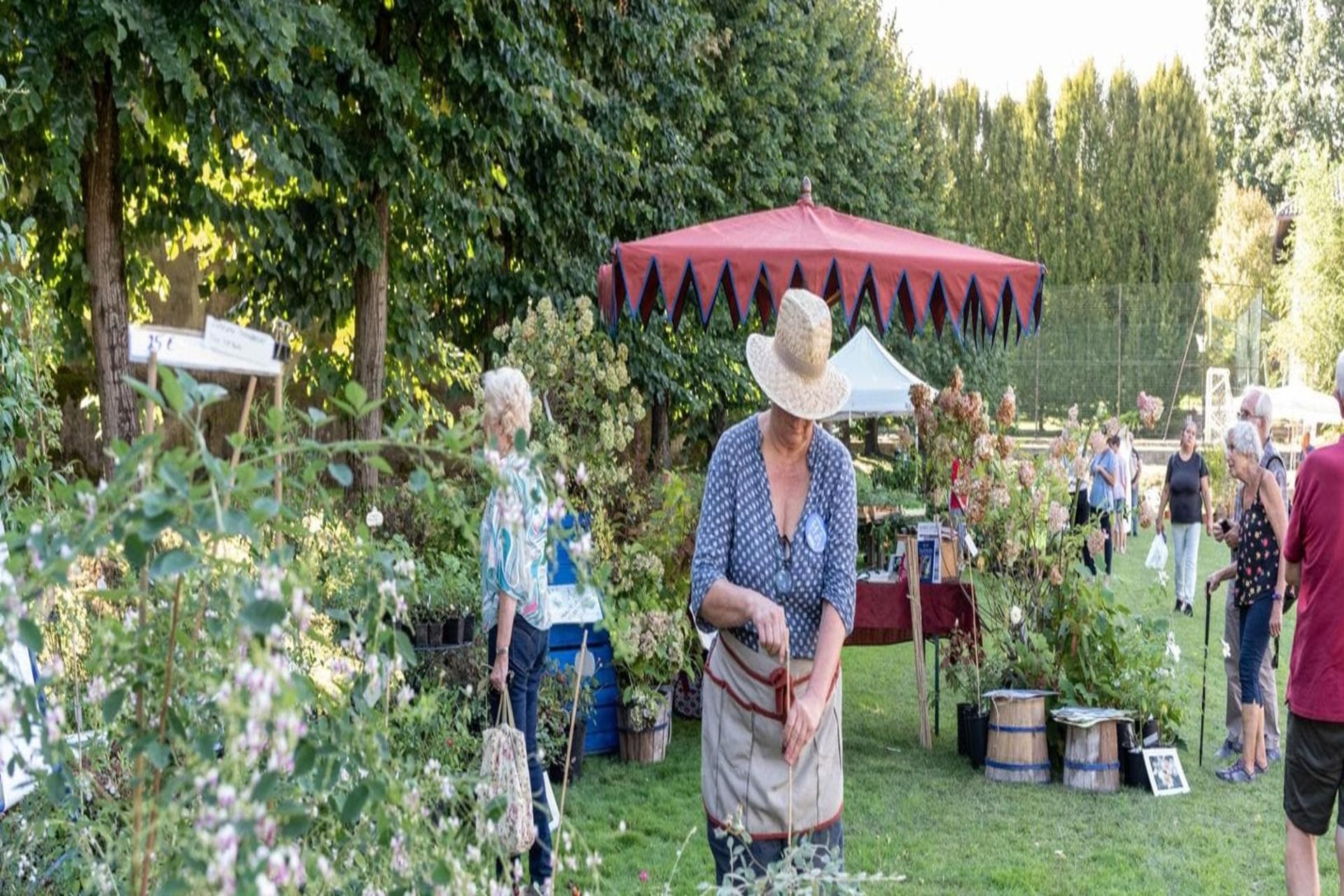 Festival del Verde in città: oggi e domani negli Horti del Collegio Borromeo di Pavia