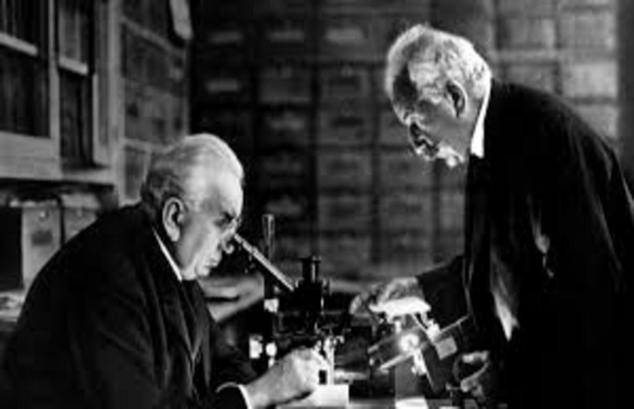 Il Cinema e Pavia cap.2