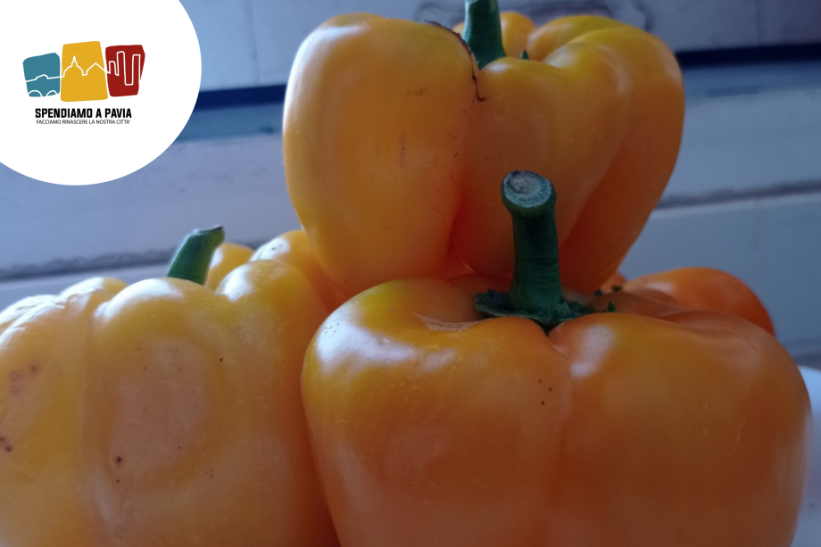 I peperoni di Voghera: il tesoro dell’Oltrepò