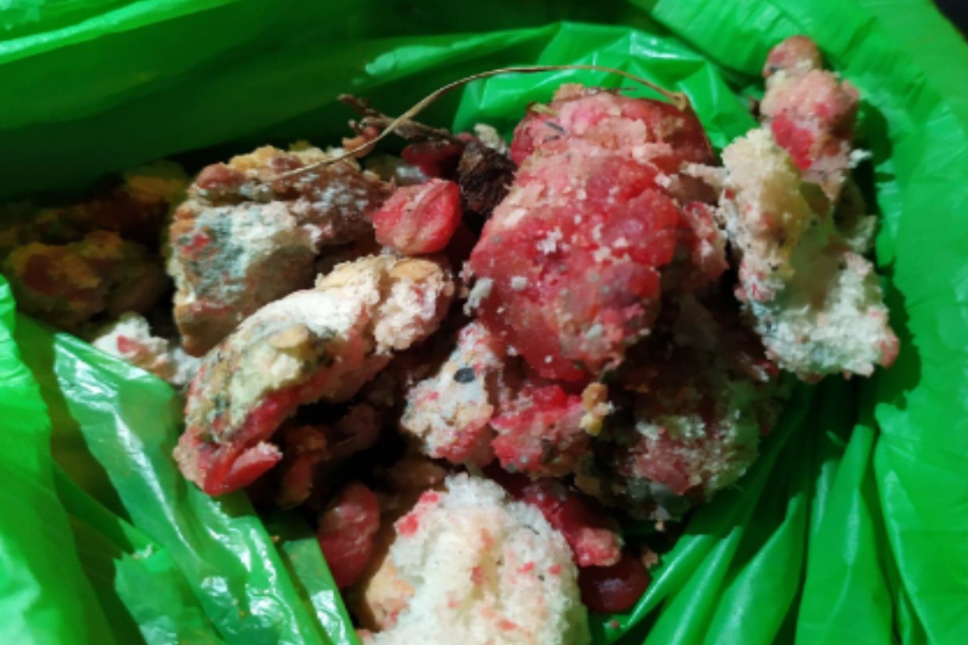 Polpette sospette nell’area cani di Inverno e Monteleone: scatta l’allarme avvelenamento