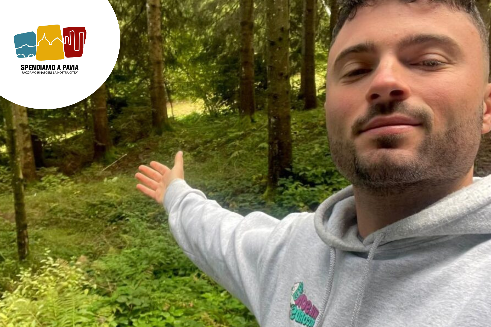 Pavia, controlli su 682 alberi in città: parte il piano per la sicurezza e la tutela del verde urbano