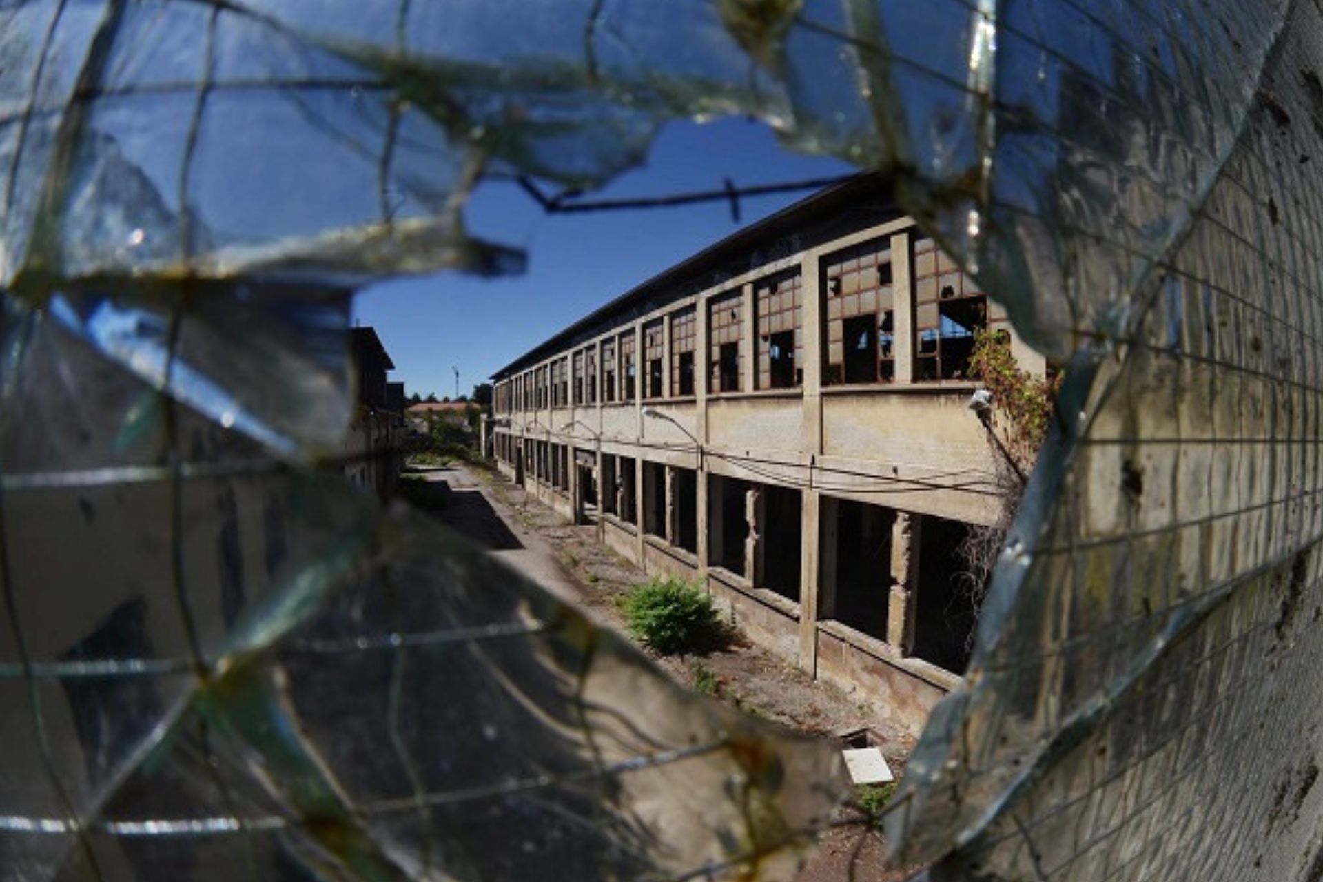 La Storia della NECCHI: L'Impresa che ha Trasformato Pavia di Ezio Tiraboschi