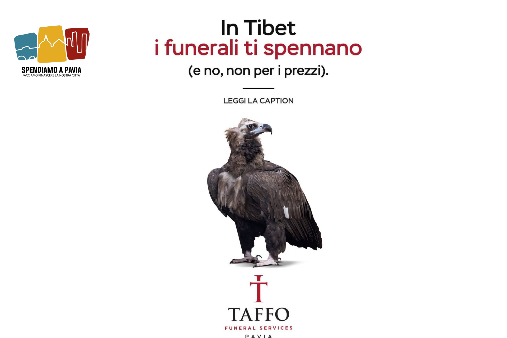 "Altro che cremazione: in Tibet ti fanno a pezzi (per davvero). La campagna shock arriva anche da Taffo Pavia"