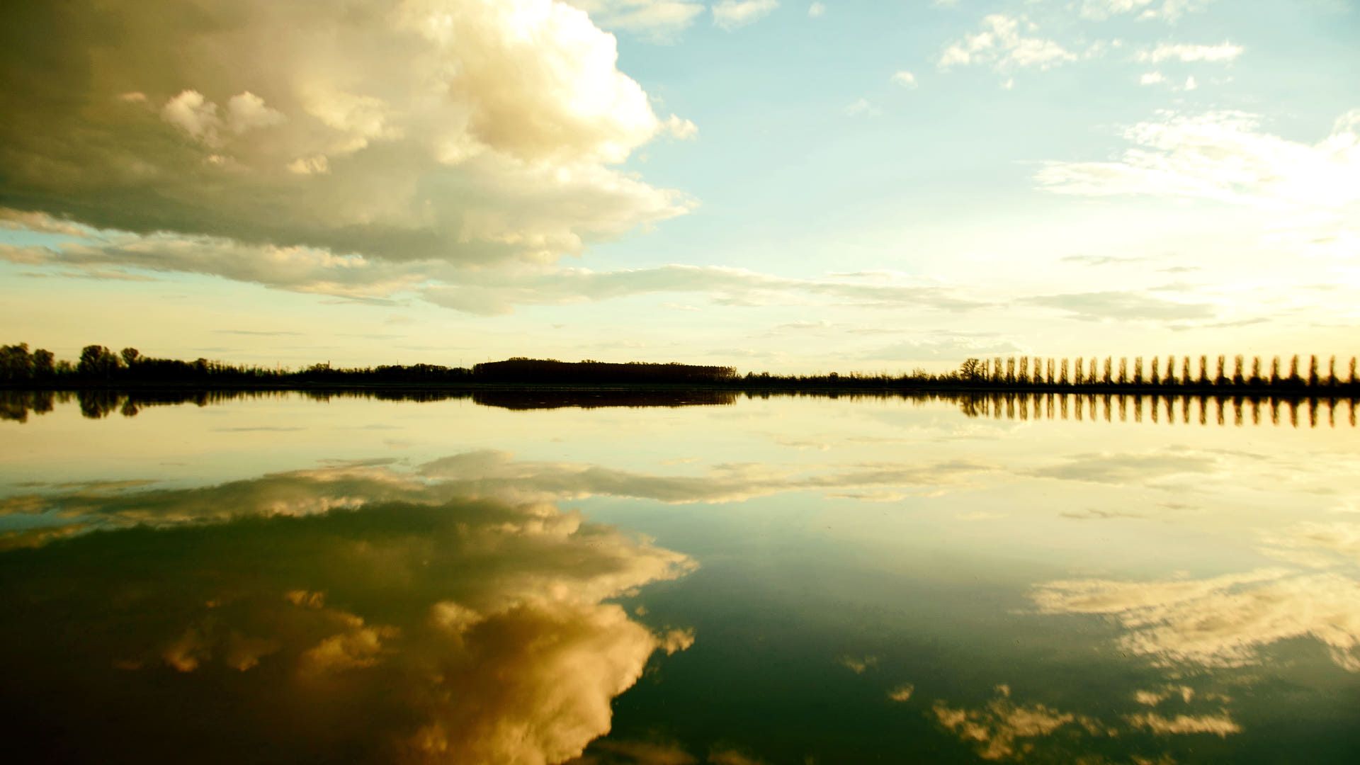 Spendiamo a Pavia . fotografia